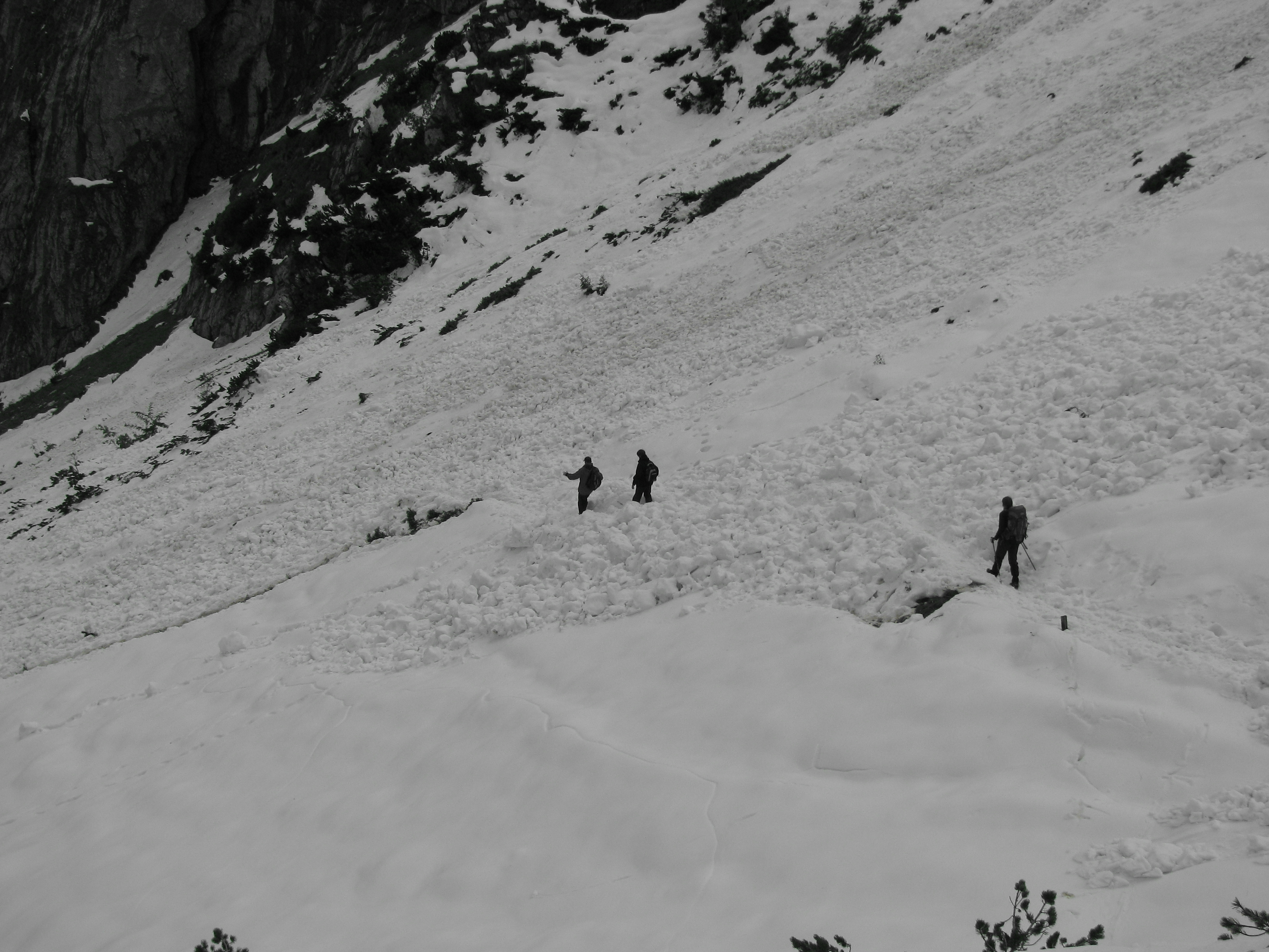 Lawiny śnieżne mogą występować i stanowić realne zagrożenie dla człowieka, także poza okresem zimowym. Na zdjęciu widoczne lawiny, które spadły w Tatrach w pierwszej dekadzie września 2008 roku (fot. Ł. Depta)